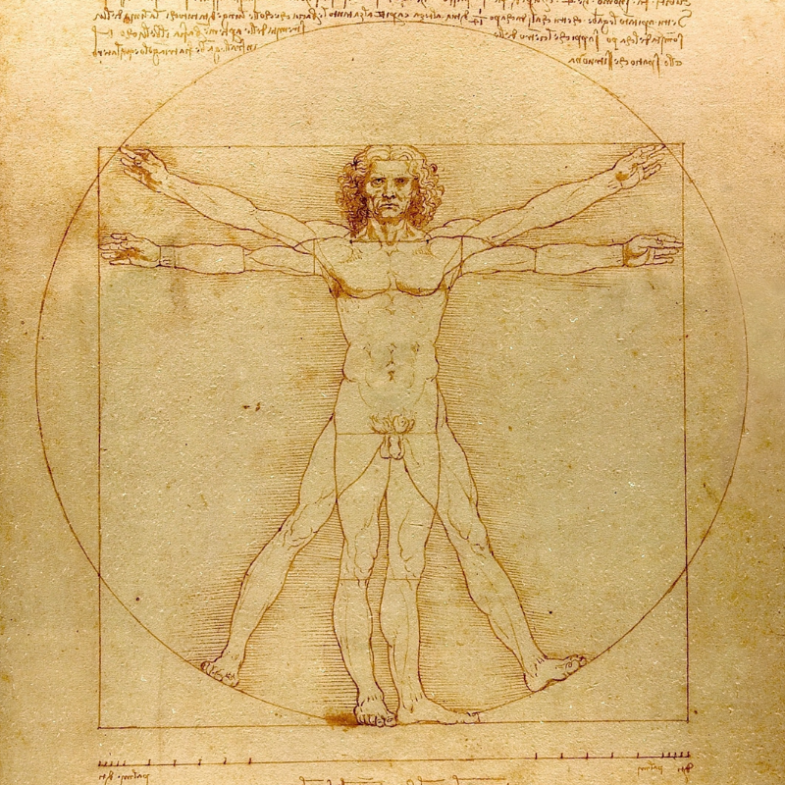 Leonardo da Vinci: Vitruviánský muž, Canva