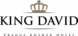 Logo Hotel KING DAVID