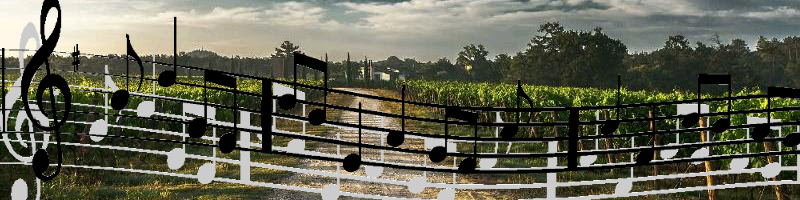 Italští vinaři ošetřují vinice Mozartovou hudbou
