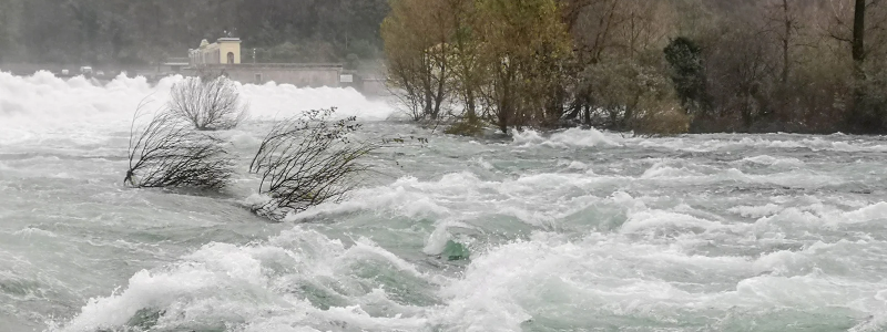 Za záchranu dítěte dostane pivo na celý rok zdarma