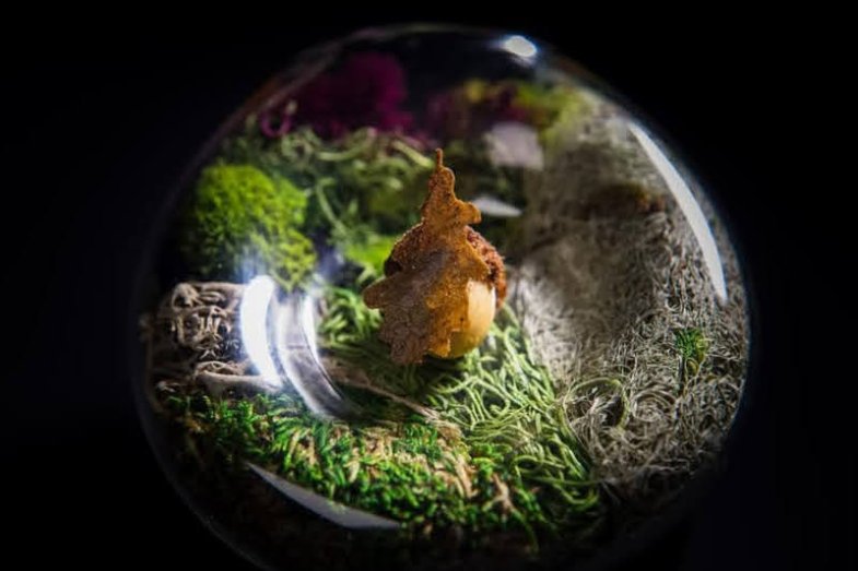 Dominique Crenn: Das Leben auf drei Sternen, foto: Facebook Atelier Crenn